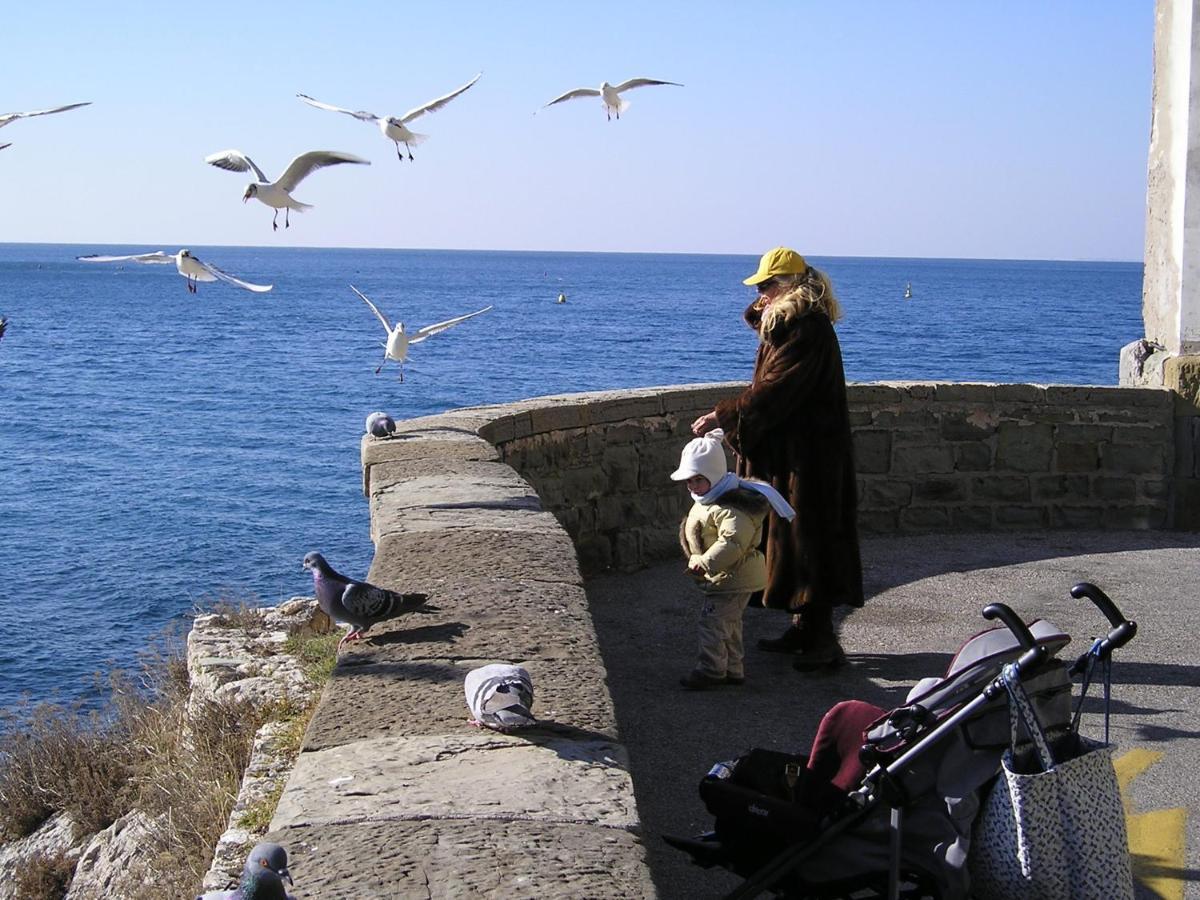 La Mansarda Delle Meraviglie B&B Superior Trieste Ngoại thất bức ảnh